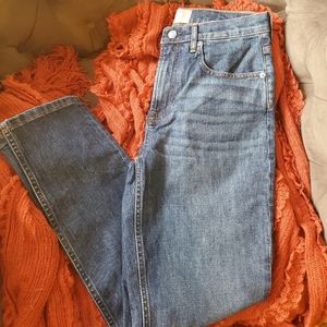 NWOT Everlane original cheeky jean
